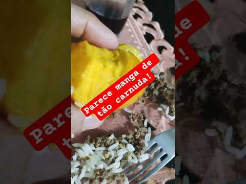 Pequi tão carnuda que parece manga, pequi de Ribeirão Cascalheira, Mato Grosso #oscarmt