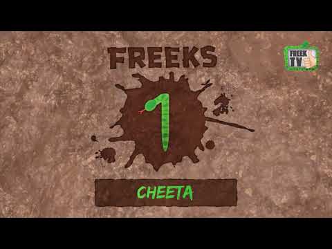 Freek Vonk de cheetah
