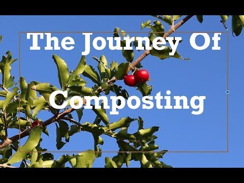 The Journey of Compost