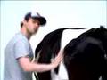 Original Cow Shake Commercial