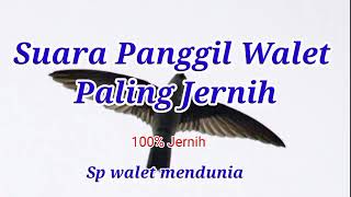 Download lagu suara panggil walet paling jernih, 100% jernih mp3