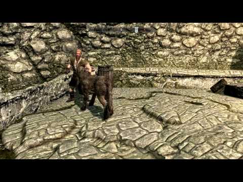 Round 1: Stray Dog vs Roggi Knot-Beard