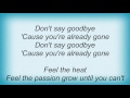 Saga - Don't Say Goodbye Lyrics
