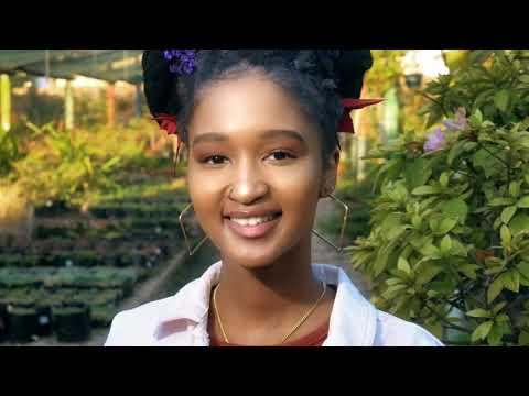 KissBeatz - Flower (Official Video)