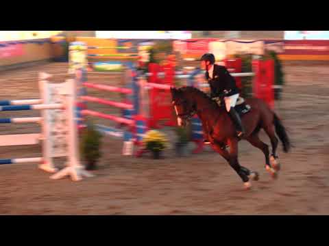 10.11.2019 Pausin: Großer Preis (1,45m) - 1. André Thieme/Contadur