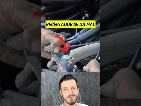 Ladrão roubando ladrão 😂 #Brasil #Crime #Viral #Fail #viralshort
