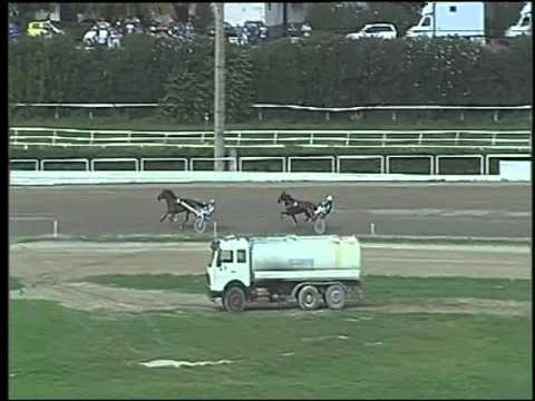 Trotto 08/10/2015 - prova di riqualifica