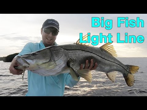 3 Tips To Land A Big Fish On Light Line (40+ Inch Snook On 10 lb Line)