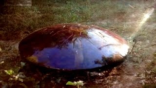 LOTUS DRUM  - Handpan - Spacedrum - Melodic Drum - Tank Drum - Hang Drum Alternative