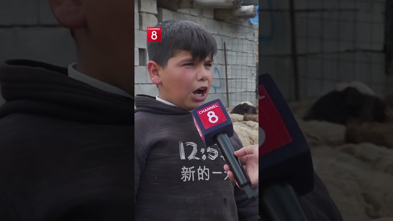 ڤیدیۆ | تەمەنی تەنیا 12 ساڵە و کڕین و فرۆشتنی مەڕ و بزن دەکات و دەڵێت: پار زیانم زۆر کرد