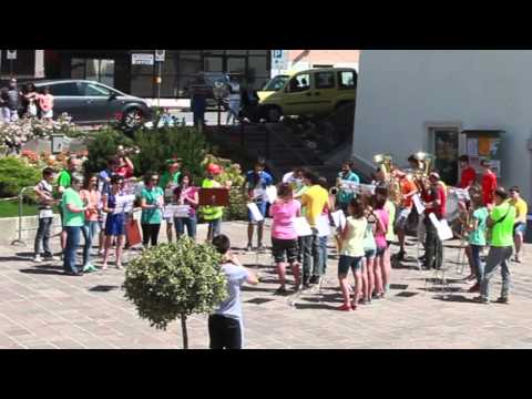 Happy Pharrell Williams Flash Mob Banda di Tuenno
