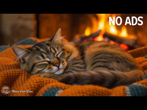 Soothing Piano Music Cats Stress Relief 😻 Music for Cats Relaxing and Sleep