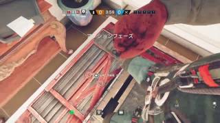 レインボーシックスシージ生放送