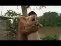 Pig Screaming