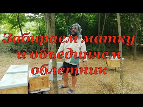 Забираем матку и объединяем облетник