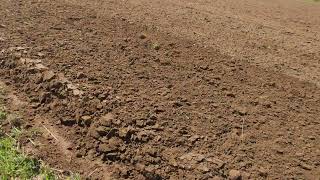 Prodaja Vindbylund reverzibilnog pluga - Slika 6 | Agroline BA Vindbylund reverzibilni plug | Slika 6 - Agroline