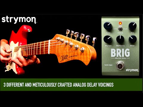 Strymon Brig DBucket Delay