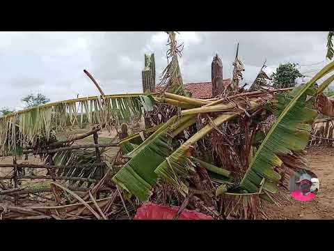 Esse vídeo fala sobre a natureza no sertão da paraíba município de picui PB.