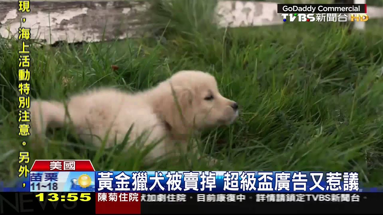 黃金獵犬被賣掉　超級盃廣告又惹議