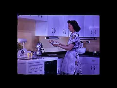 The Fakeness Was Hypernormal // Scuba Z - The Vanishing American Family