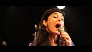 Bryan and the Aardvarks