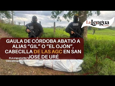 Gaula de Córdoba abatió a alias “Gil” o “El Ojón”, cabecilla de las AGC en San José de Uré