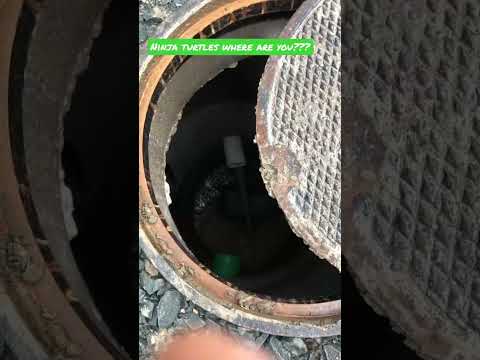 Exploring sewers looking for the #ninja #turtles and #alligator #tmnt #explore #shorts