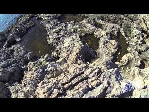 Rene LaVice :: Outlook 2013 Recap Video