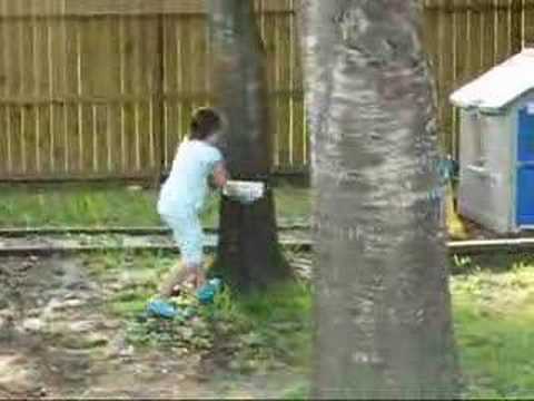 Tagging & Folksonomy