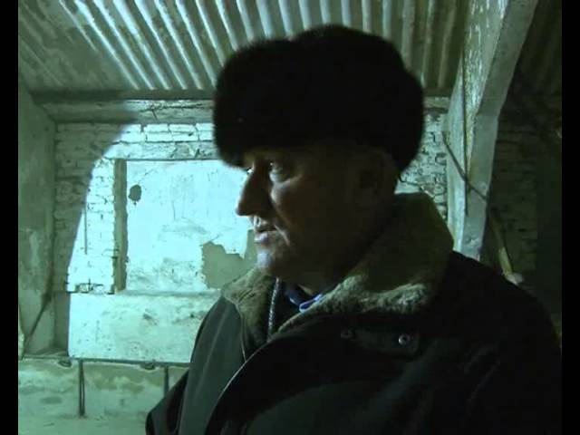 Много ль бурёнка дает молока?