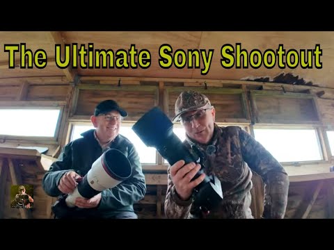 Sony 300mm f2.8 & TC v Sigma 500mm f5.6 with Jonathan