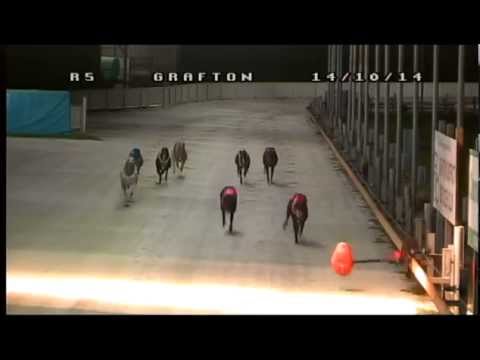 Grafton-14102014-Race-5