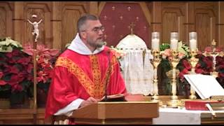 Dec 26 - Homily: St. Stephen Christmas Martyr