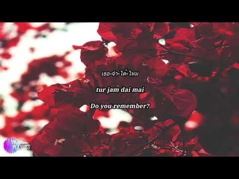Tilly Birds - ให้กอดของฉันบอกทุกอย่าง (Just So You Know) // LYRICS
