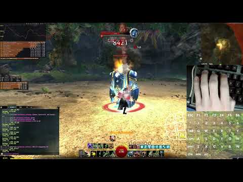 1-Kit ALACRITY Rifle Amalgam | 41628 (GW2 VoE Launch)