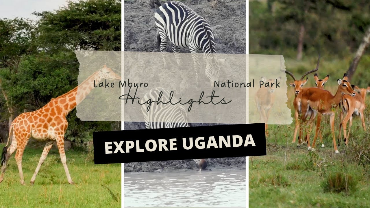 Lake Mburo National Park | Uganda