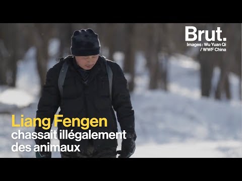 Ce braconnier est devenu défenseur des animaux