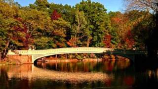 Bridge Over Troubled Water--Willie Nelson