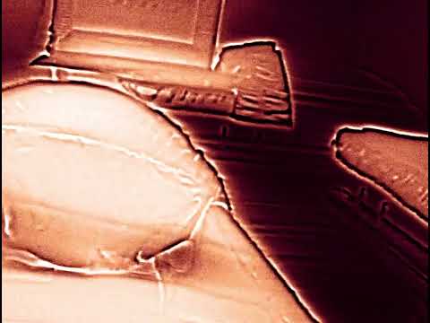 RAMIREZ - CASKET DREAMS FEAT POUYA [Visualizer]