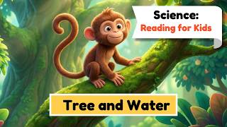I'm a Scientist 2: Tree and Water | English for Kids