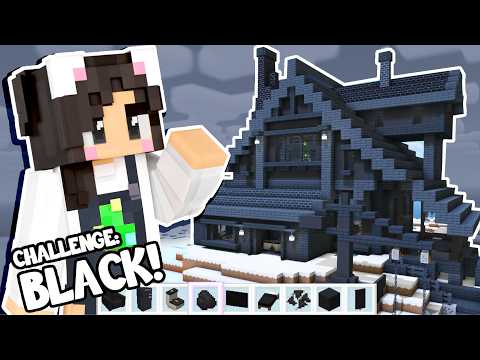 🖤I Built a Black COAL House In Minecraft!