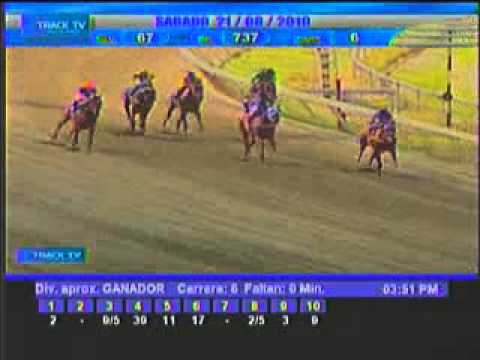 Resumen, Sábado 21 de Agosto 2010 - La Rinconada