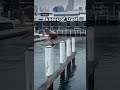 Knees Of Steal Credits To Redbull For The Video Awesome Parkour Steel