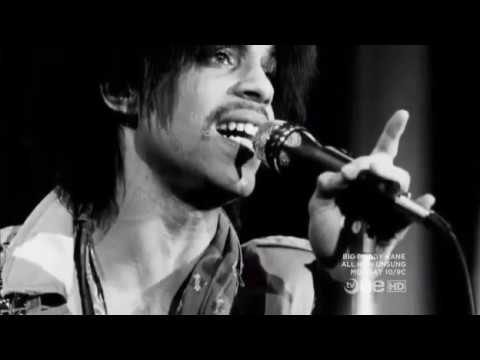 Prince was a racist?