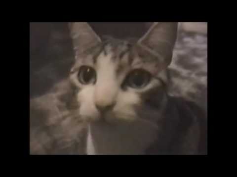 ROLAND JONES - REPRESENT FROM QUEENSBRIDGE