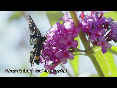 Adalamoon & Ekanta - GAIA (version en español)