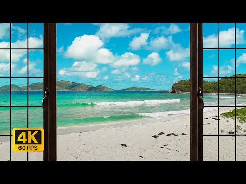 4K Tropical Beach window view in the Caribbean - Palm Trees, Ocean Sounds, White Noise