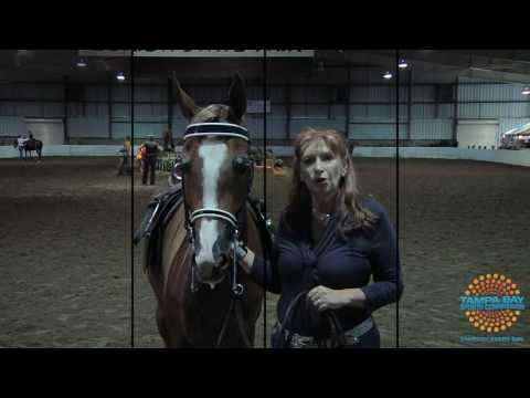 GAMEDAY BY THE BAY: 44th AHAF Thanksgiving Horse Show