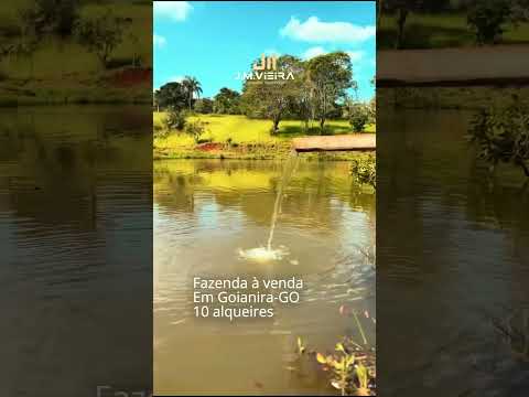 ⚜️ Fazenda  de cultura exclusiva à venda em Goianira - GO, a apenas 30 km do Portal  Shopping!