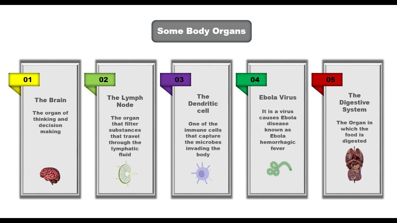 Graphic Design | Rectangular Infographic Design In PowerPoint | PowerPoint Animation